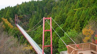 Kokujo temple, Tsubame City, Niigata Pref., Japan