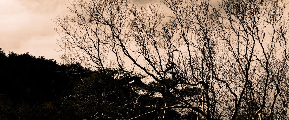 sunrise on cloud sea