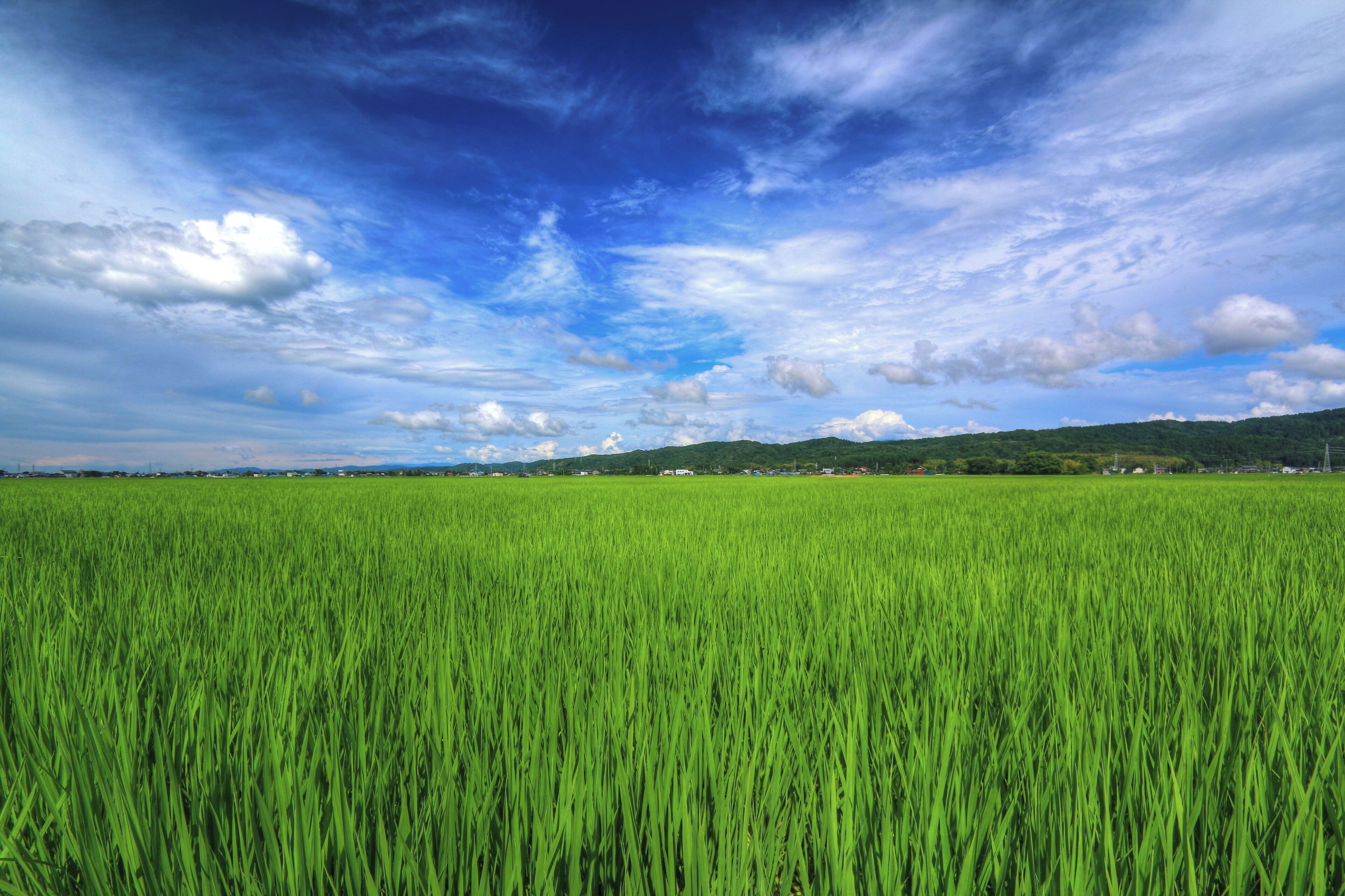 東光寺駅付近の風景