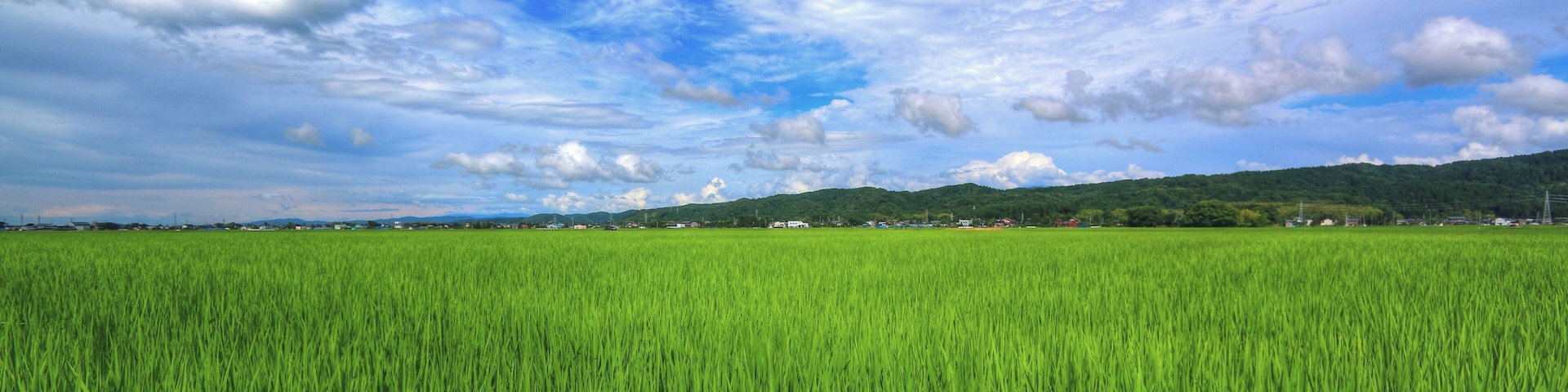 Um extenso campo verde sob um céu parcialmente nublado.
