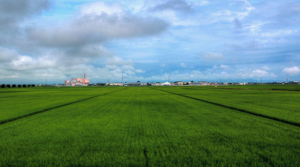 æ±ć
ćŻșé§
ä»èżăźéąšæŻ