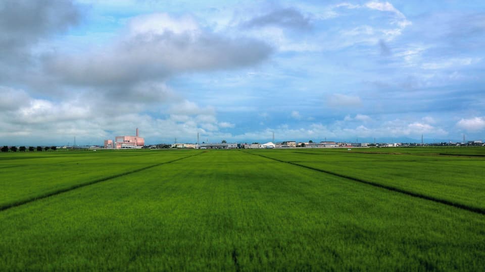 A vast green field with a distant building and a cloudy sky.