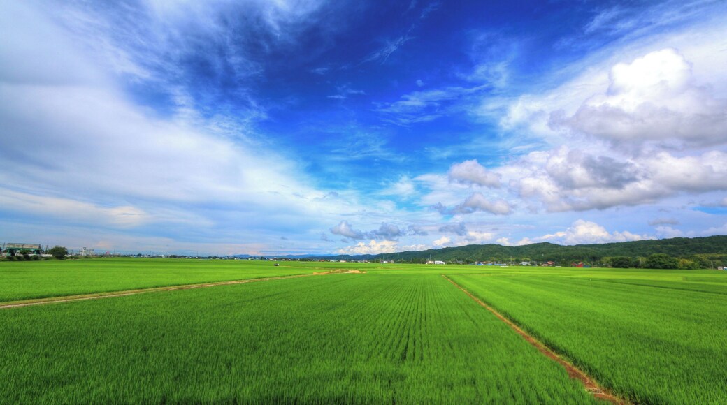 æ±ć
ćŻșé§
ä»èżăźéąšæŻ