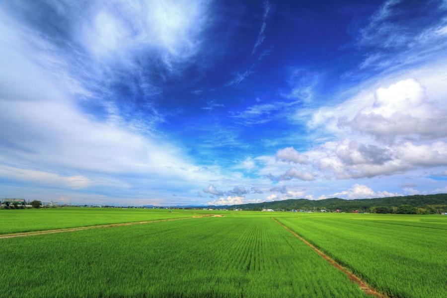 東光寺駅付近の風景