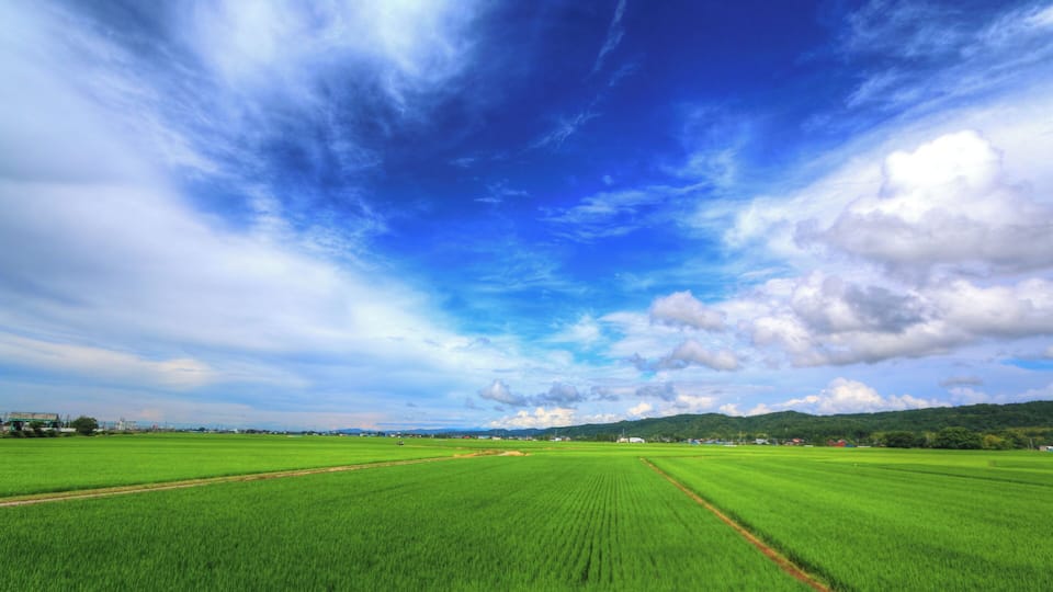 A vast green field under a blue sky with scattered clouds.