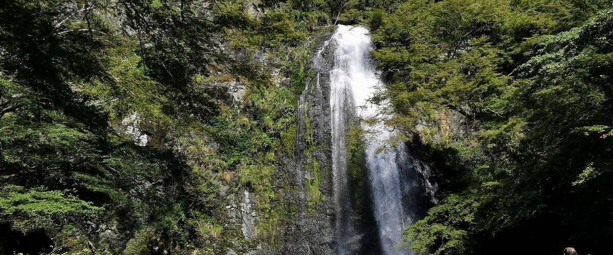 Minoo Park, just 20mins away from Osaka. Lovely hike to see the waterfall in autumn!