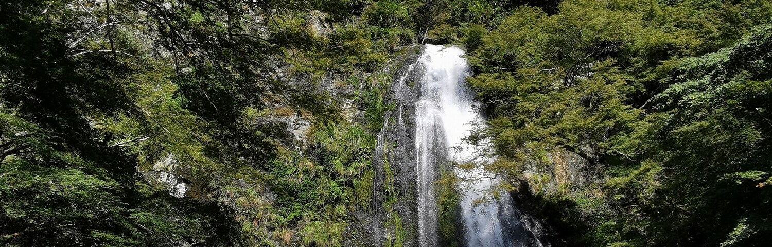 Minoo Park, just 20mins away from Osaka. Lovely hike to see the waterfall in autumn!