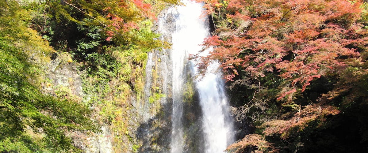 箕面公園 箕面滝