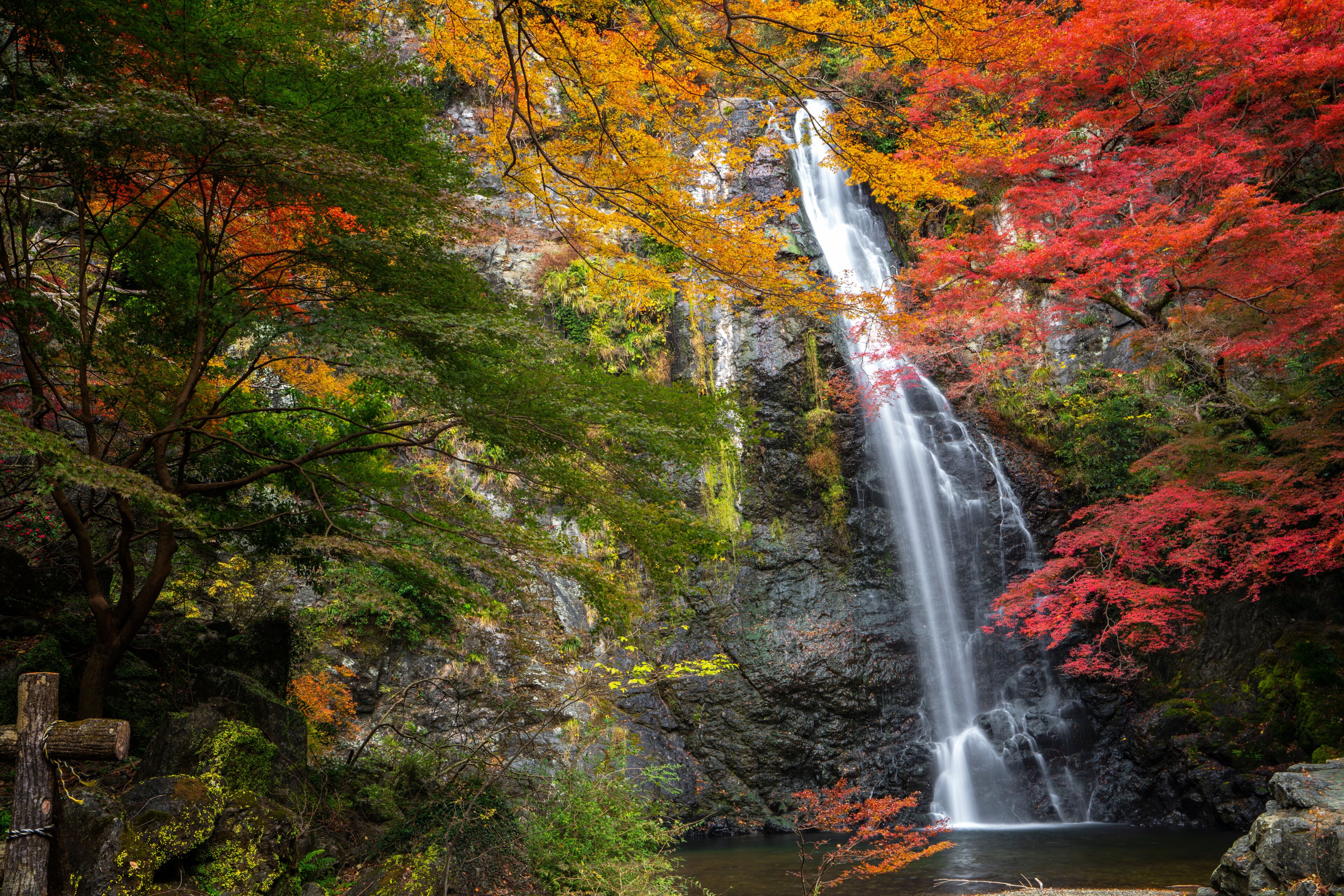 minoh waterfall park with autumn red and yellow background
