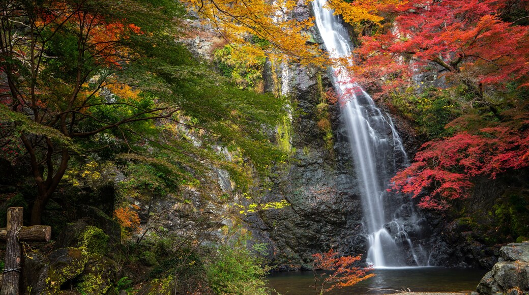 minoh waterfall park with autumn red and yellow background