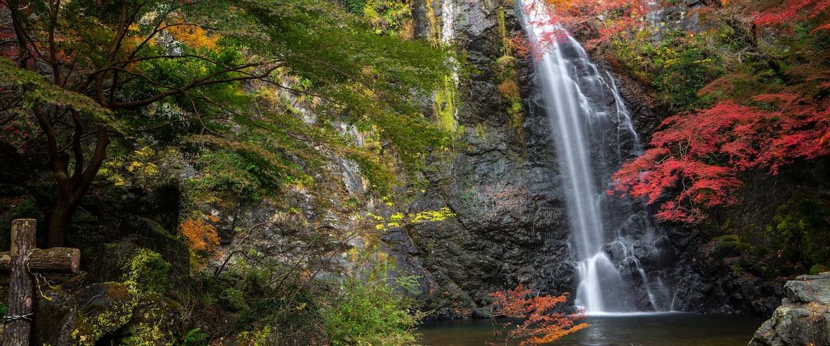 minoh waterfall park with autumn red and yellow background