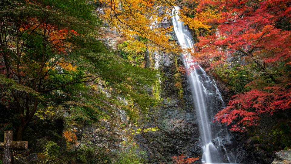 A waterfall surrounded by autumn foliage.