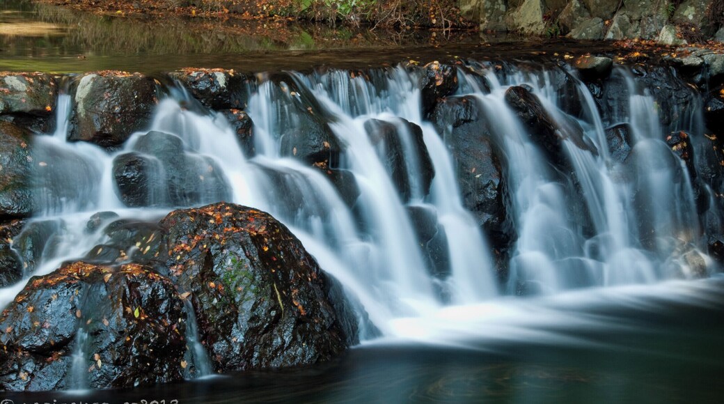 Minoo Park, outskirts of Osaka.
A beautiful haven for nature and scenery.
I spotted this mini waterfall while trekking.
Loved the calmness around this river. #waterfall #park #minoo #osaka #japan #nature #greatoutdoors