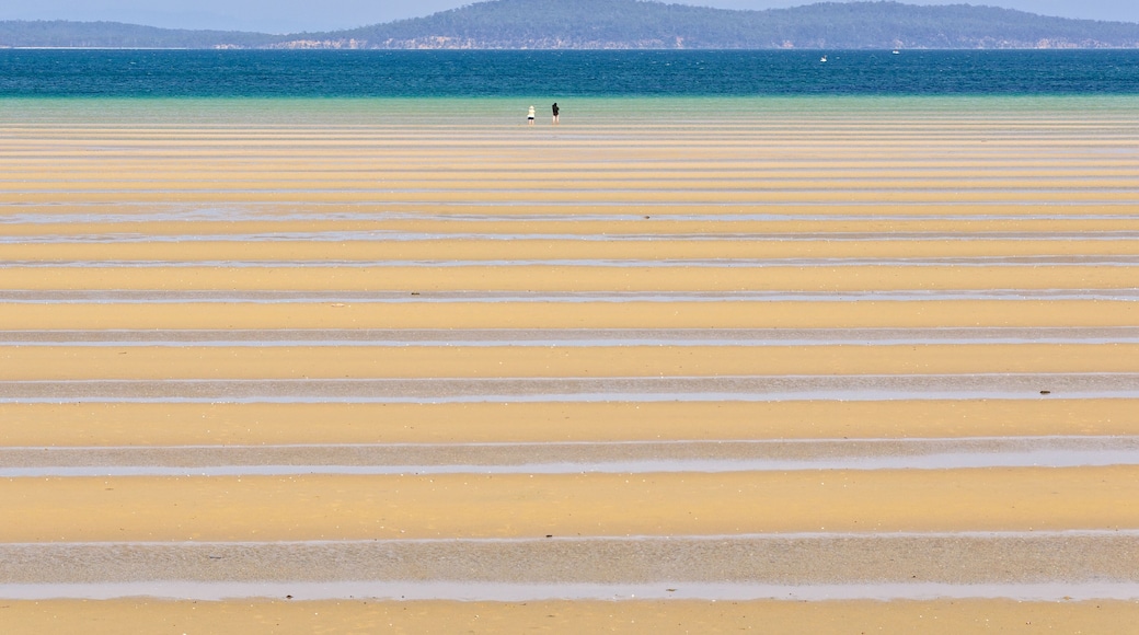 A beach with parallel yellow sand lines and a distant mountain range.