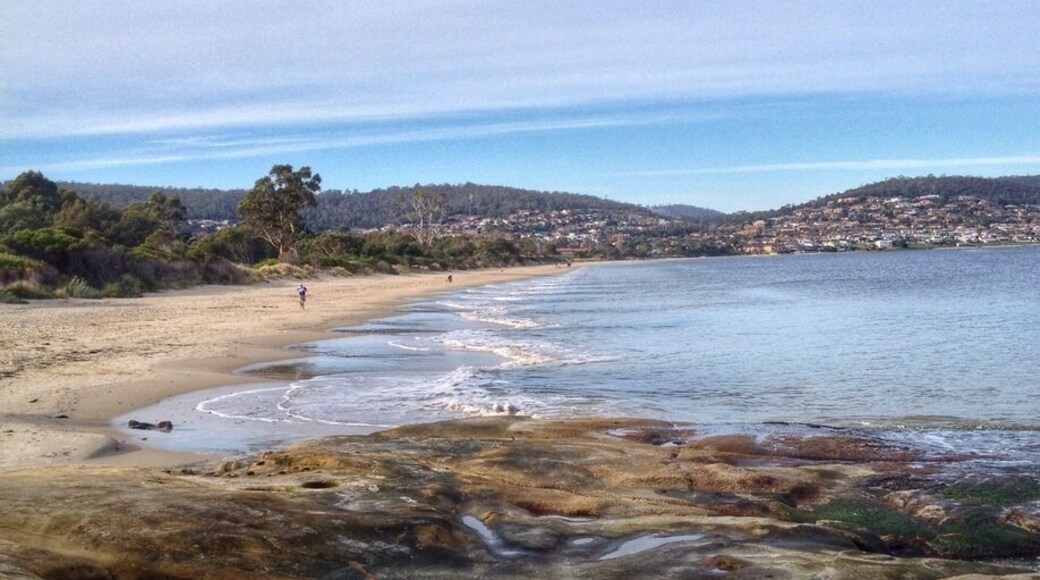 Nice beaches close to the city centre are hard to find - most are tiny or don't have much sand to enjoy. Howrah is about a 10-minute drive from Hobart city and you can bring the pooch.
You'll get a lovely view of the city, river and Mount Wellington.