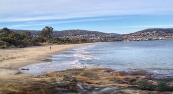 Nice beaches close to the city centre are hard to find - most are tiny or don't have much sand to enjoy. Howrah is about a 10-minute drive from Hobart city and you can bring the pooch.
You'll get a lovely view of the city, river and Mount Wellington.