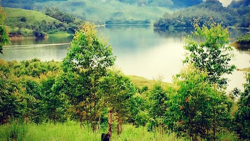 In the midst of tea garden at Munnar.