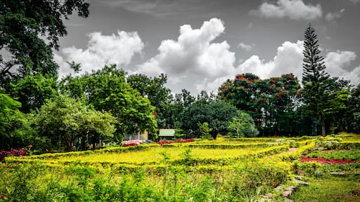 Yelagiri - Nature Park is a sweet spot area in yelagiri hill. It serves as a perfect picnic spot to laze around in the sprawling greenery. The park consists of a children's area, nursery, rock garden