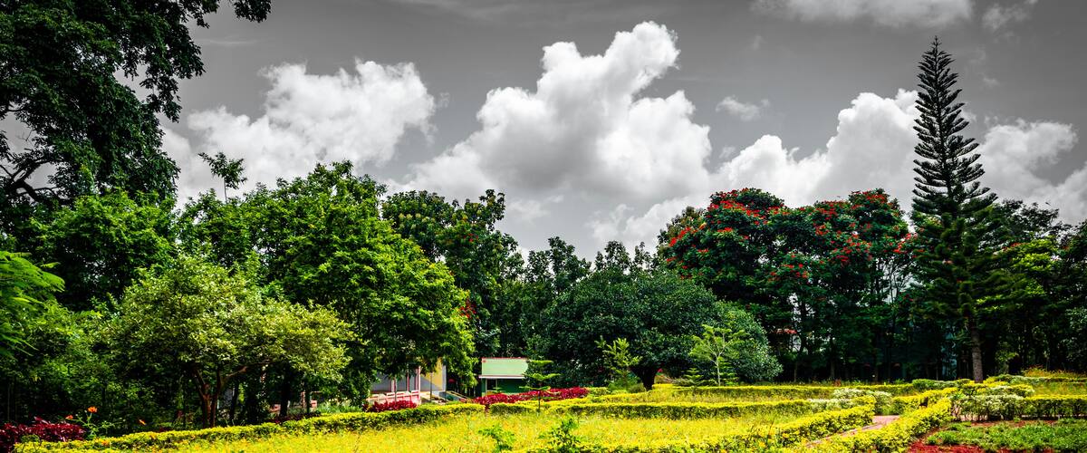 A lush garden with neatly trimmed hedges, a variety of flowering plants, and a prominent tree in the center.