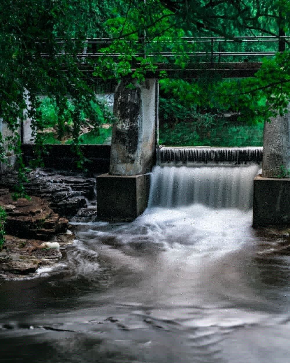 When at Inglis Falls be sure to look around and check out all there is to see. 