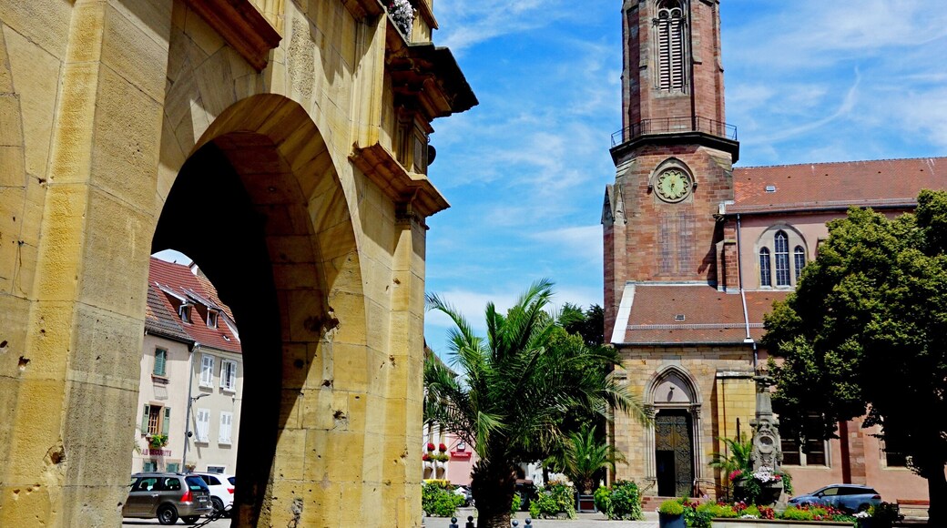 Le petit et joli village d'Ensisheim, dans la route d'Alsace à vélo