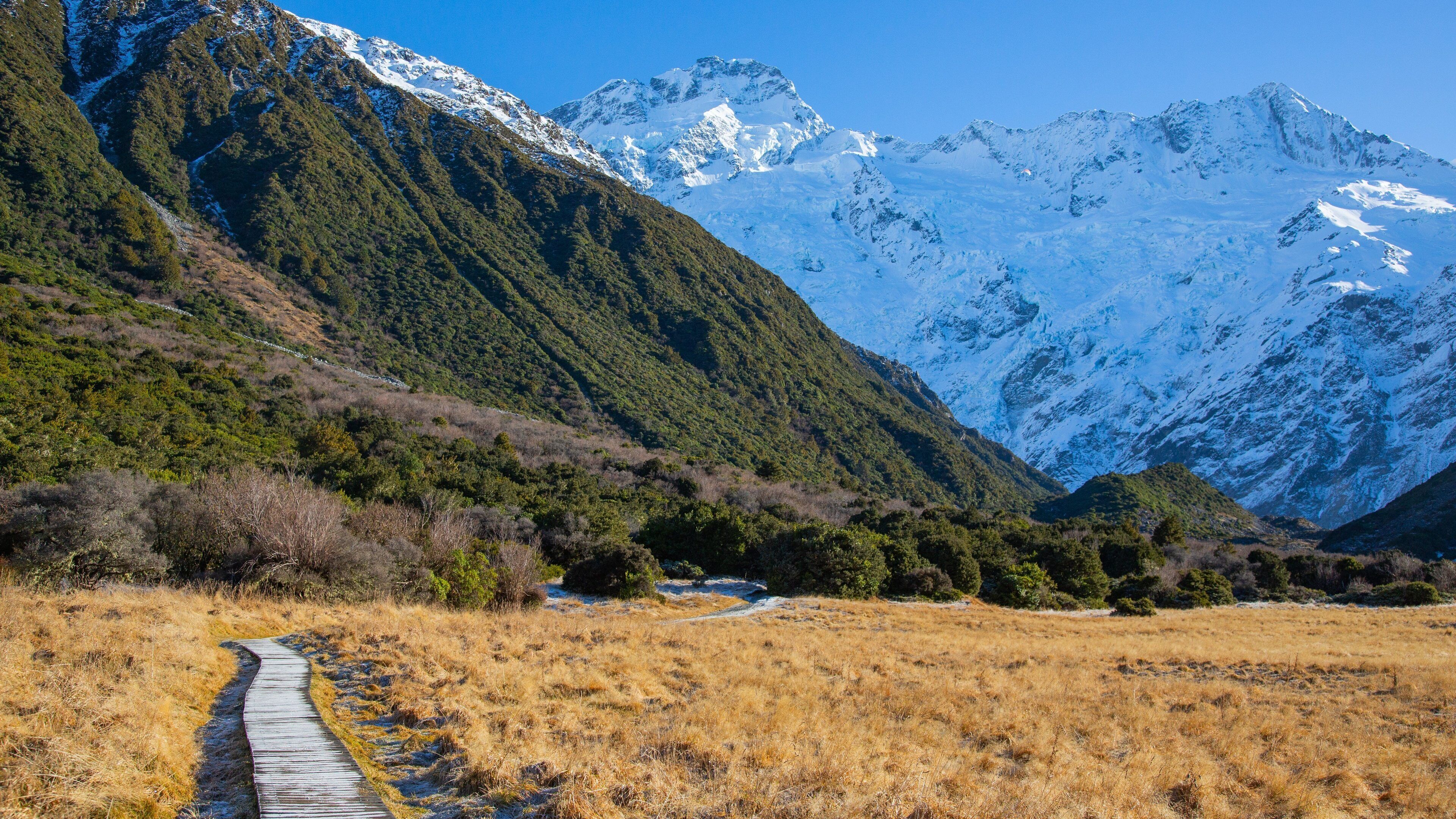 A mountainous landscape with a snow-covered peak, a grassy field, and a wooden path.