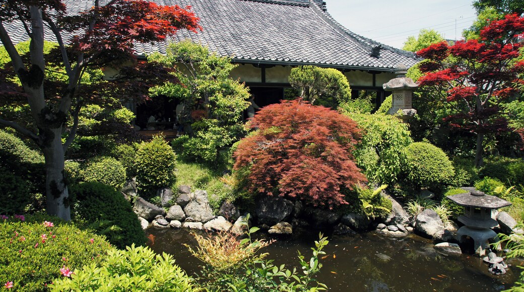 Ofusa-kannon in Kashihara, Nara prefecture, Japan