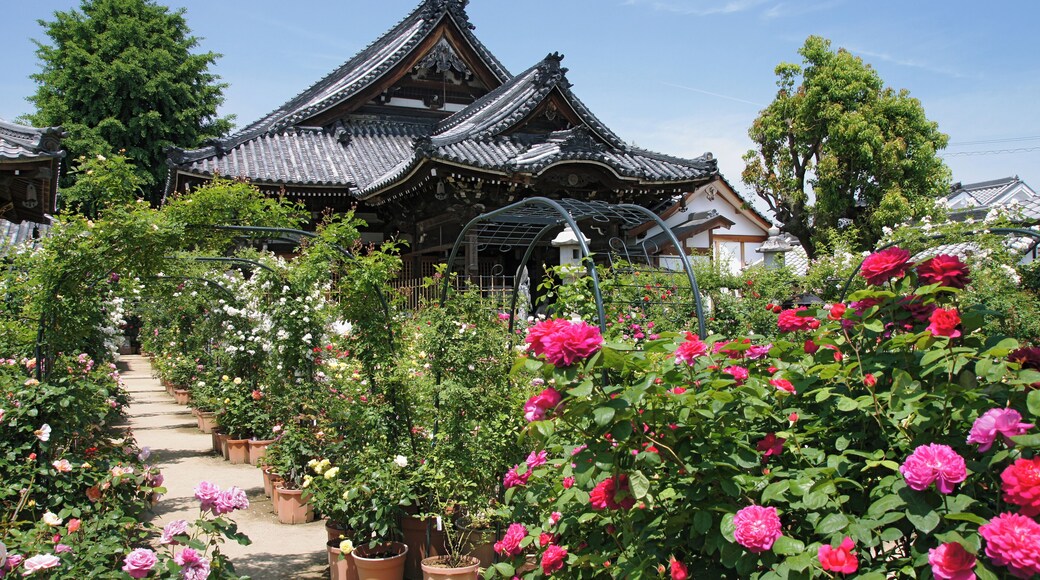 Ofusa-kannon in Kashihara, Nara prefecture, Japan