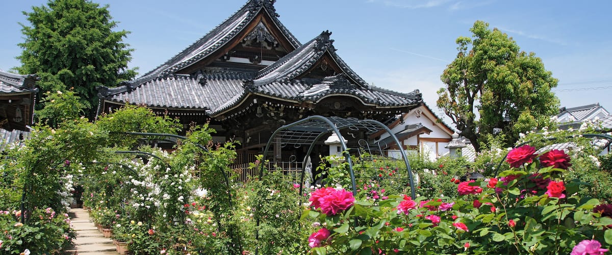 Ofusa-kannon in Kashihara, Nara prefecture, Japan