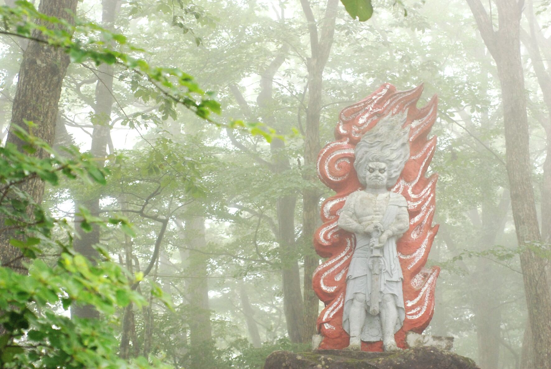 FUDO in fog