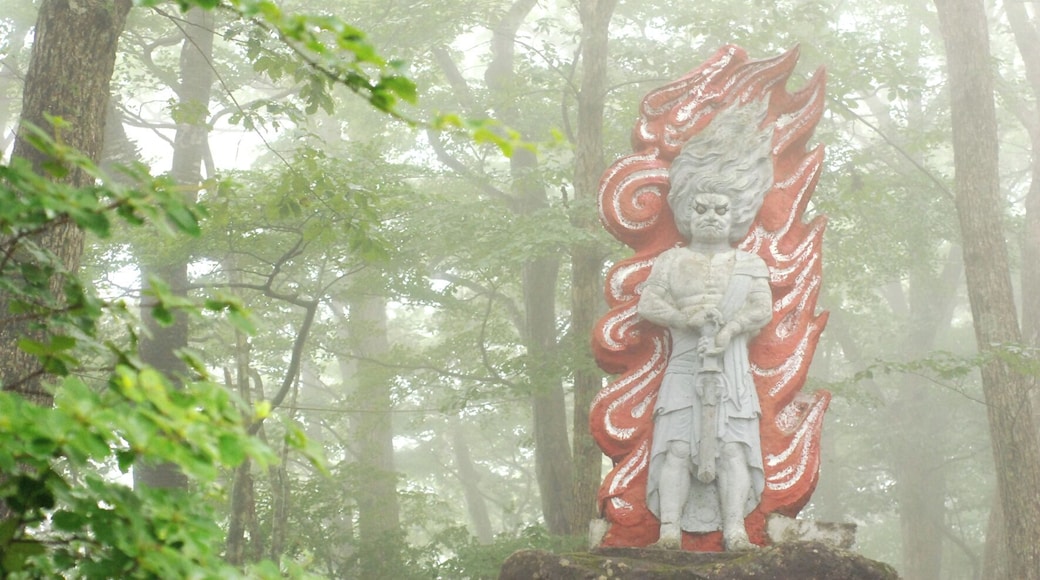 FUDO in fog
