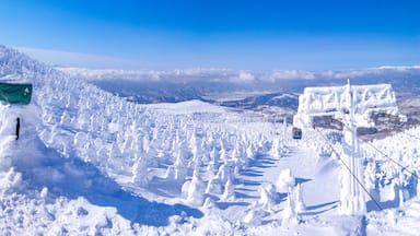 Snow monsters (soft rime) with cable cars passing through between them (Zao-onsen ski resort, Yamagata, Japan)