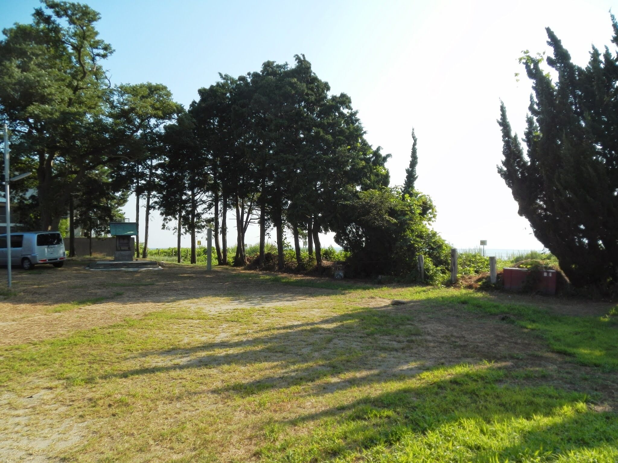 A grassy area with trees and a van parked on the side.