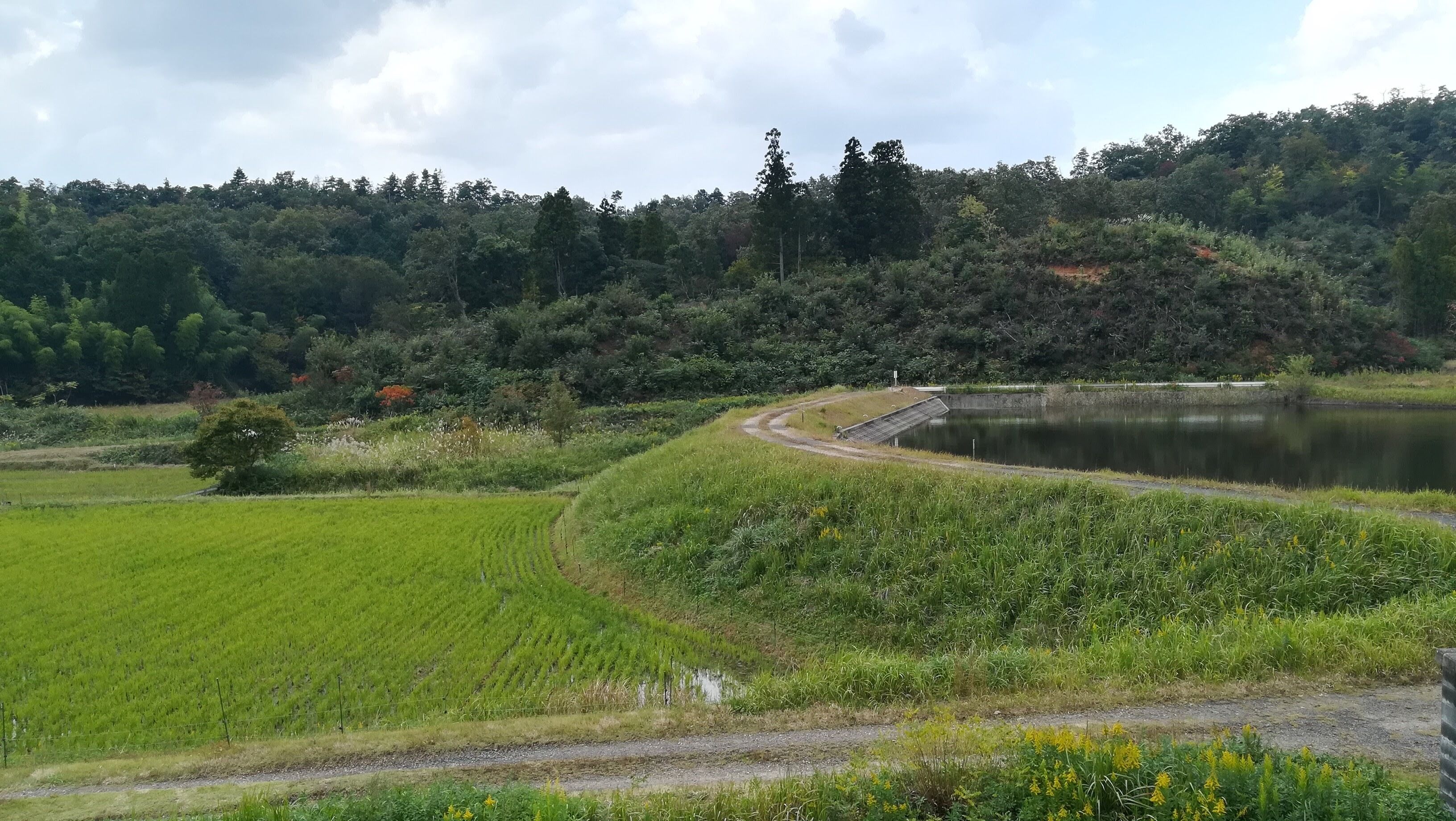 松田千軒(京丹後市大宮町河辺)