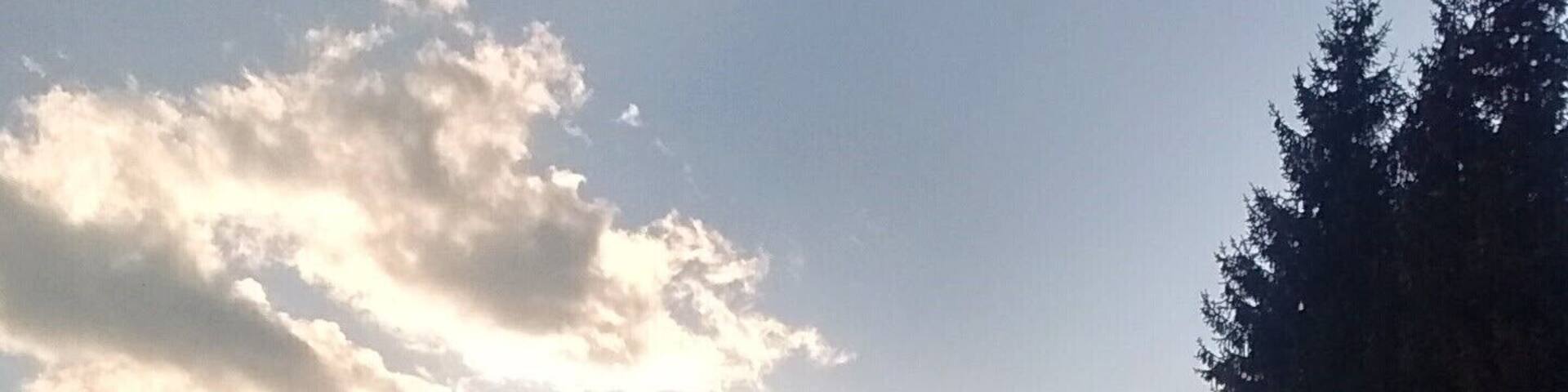 Riserva naturale Boschi del Giovetto di Paline