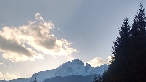 Riserva naturale Boschi del Giovetto di Paline