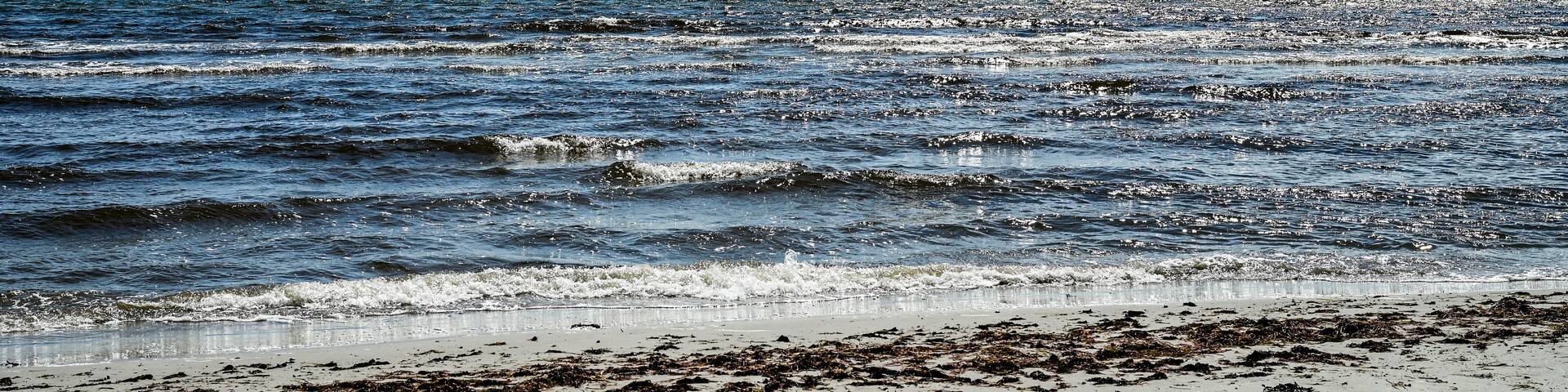 Vacation in Sweden - Vacation on the sandy beach Mossbystrand beach with a view of the Baltic Sea, in summer with a blue sky, Skivarp, Öresund, Skane Lan, Sweden