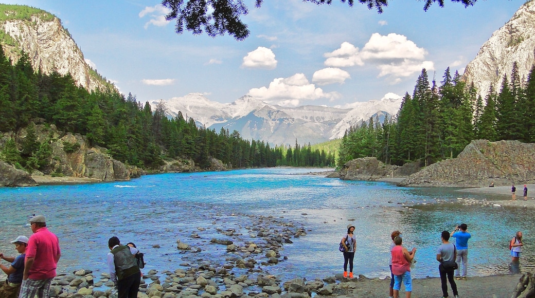 Bow Lake / Alberta, Canada.