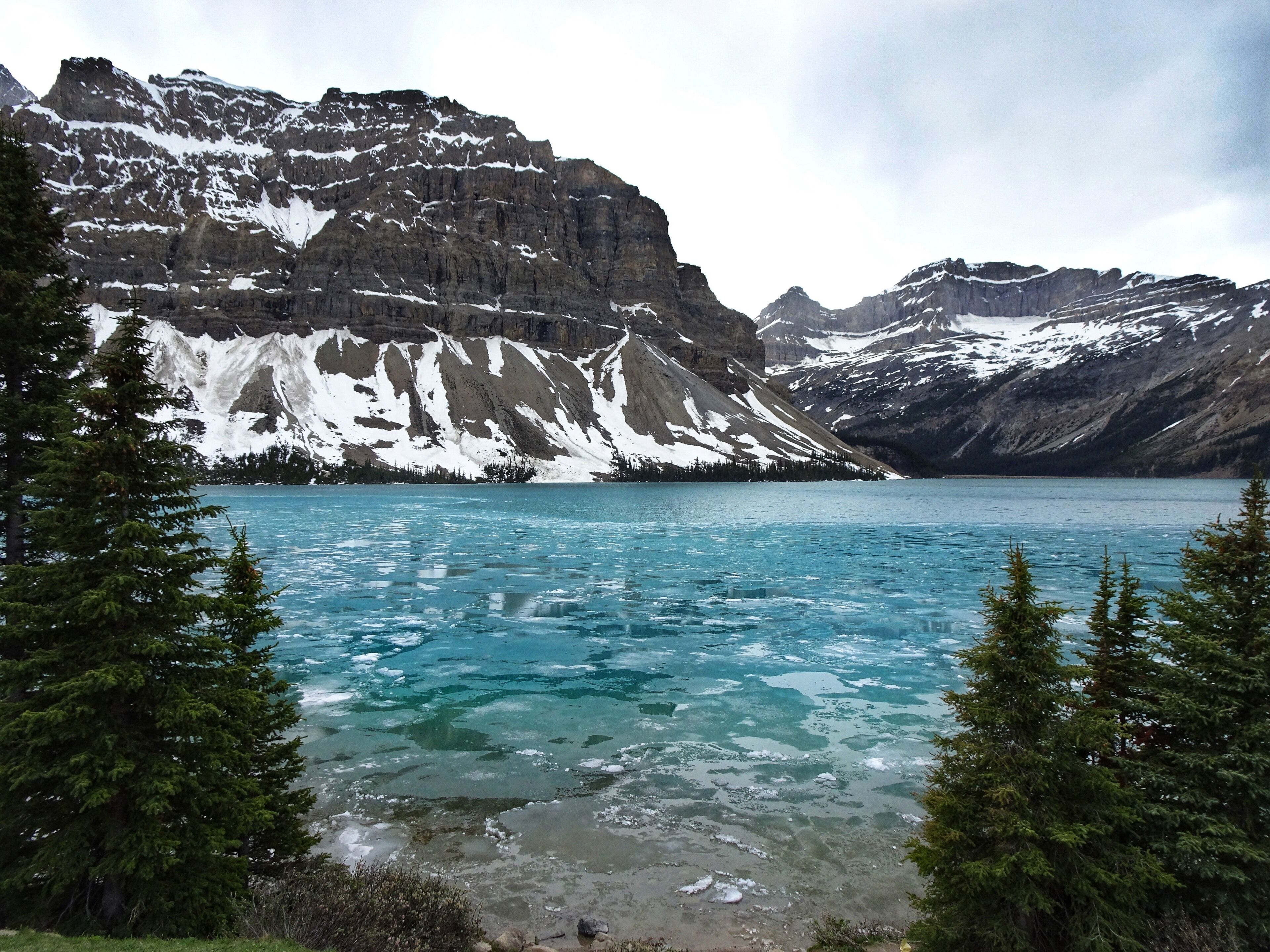 Bow Lake is a small lake in western Alberta, Canada. It is located on the Bow River, in the Canadian Rockies, at an altitude of 1920 m. The lake lies south of the Bow Summit, east of the Waputik Range and west of the Dolomite Pass, Dolomite Peak and Cirque Peak. Wikipedia (June 2019)

#Nature