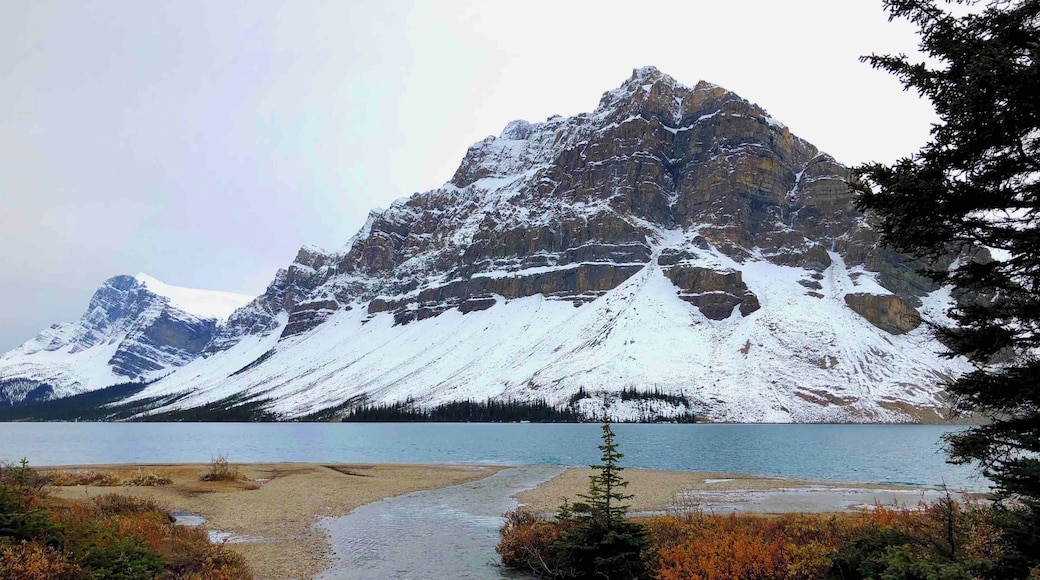 The Crowfoot Mountain (elevation 3,055 m) at Bow Lake, which is the source of the Bow River. Taken after an usual early snowfall.
#mountain #lake