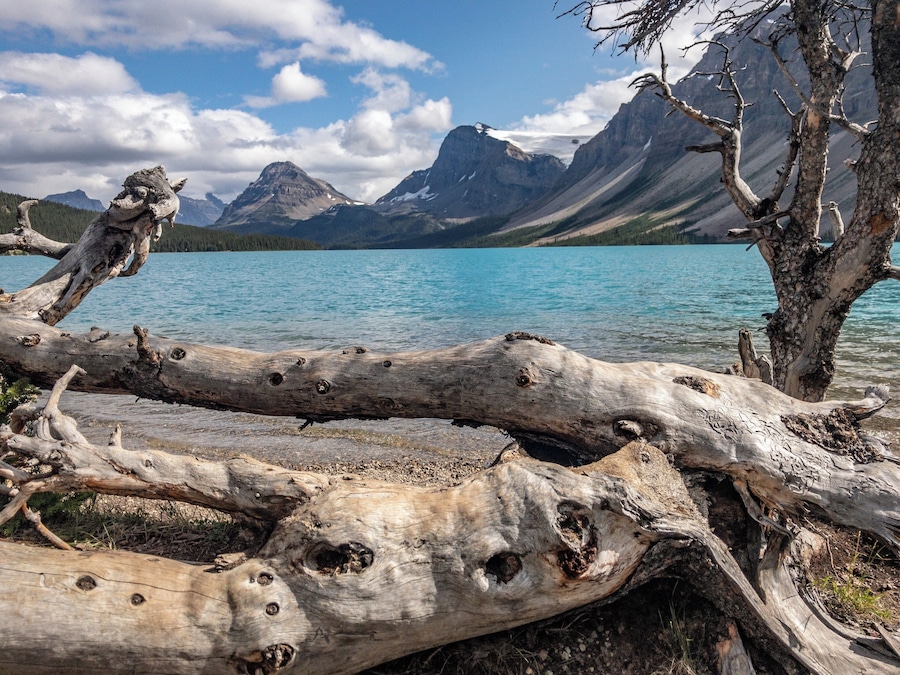 Bow Lake in Alberta, CA. Nestled away of the main road between Jasper and Banff. #Adventure #BowLake #Canada