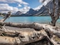 Bow Lake in Alberta, CA. Nestled away of the main road between Jasper and Banff. #Adventure #BowLake #Canada