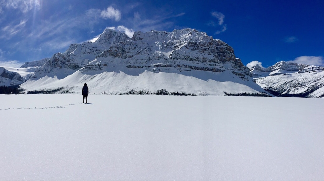 Bow Lake still frozen at the very end of March in Jasper National Park! What a sight even now 🏔☀️❄️