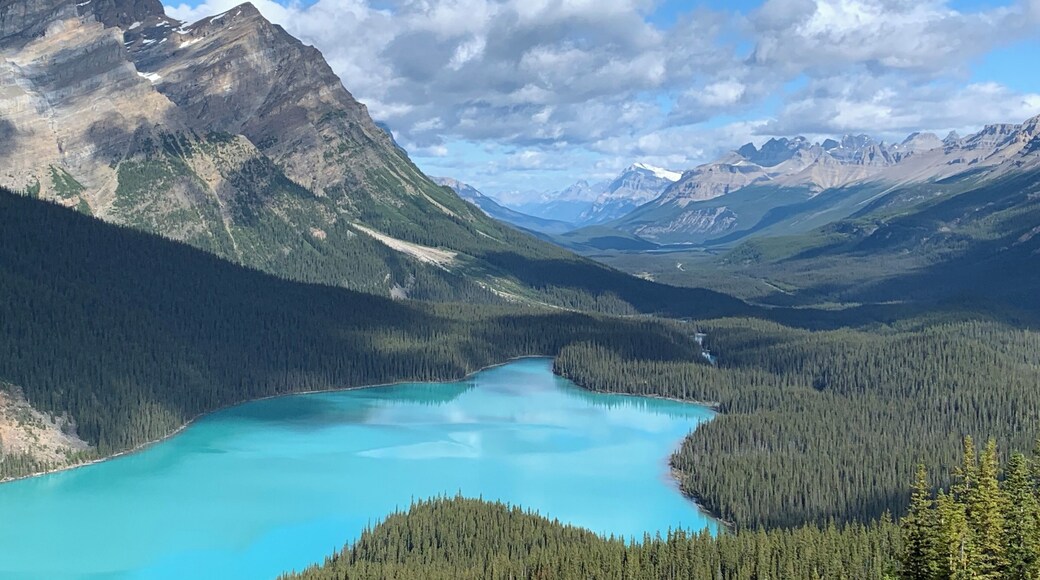 Beautiful Bow Lake! A must see on your drive on the Columbia Icefields Parkway!
#bowlake #icefieldsparkway #canada #beautifullakes