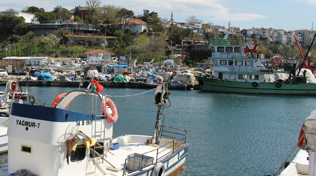 Port of Şile,
Şile, İstanbul, Turkey
#port #sile #istanbul #turkey