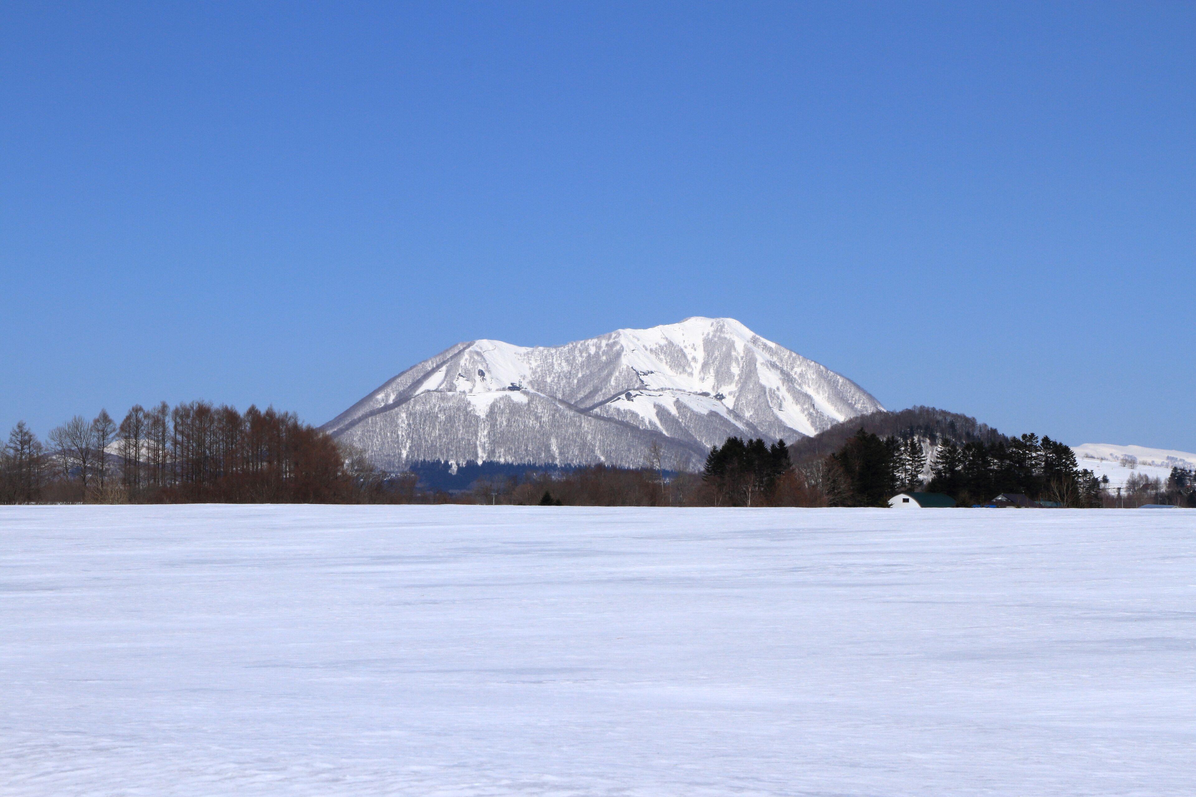Scenery of Rusutsu village in Hokkaido, Spring is near, Shutterstock ID 1056179774, SF SSA Case with Manager Approval: Case 07151371, Job: Prepay credit, Client/Licensee: , Other: