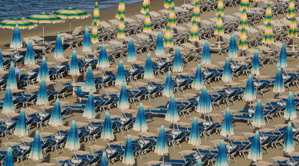 Umbrellas on the beach, Gatteo a Mare, Region of Emilia Romana, Adriatic Sea