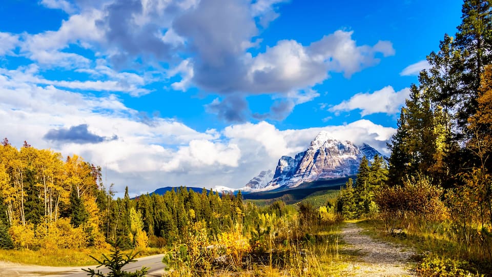 A mountain range with a clear sky and autumn foliage.