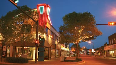 Red Deer showing night scenes, signage and street scenes