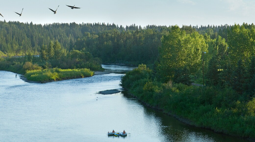 Red Deer trong đó bao gồm hồ nước, phong cảnh và chèo thuyền kayak